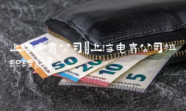 上海电气公司(上海电气公司组织结构)