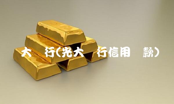 广大银行(光大银行信用贷款)