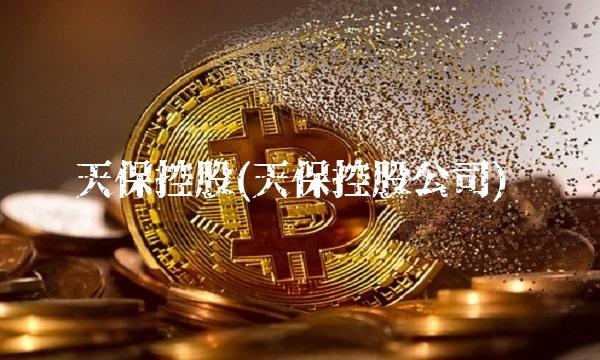 天保控股(天保控股公司)(1)