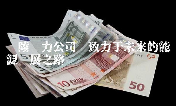 涪陵电力公司——致力于未来的能源发展之路
