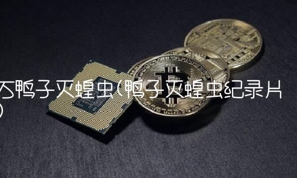 万鸭子灭蝗虫(鸭子灭蝗虫纪录片)
