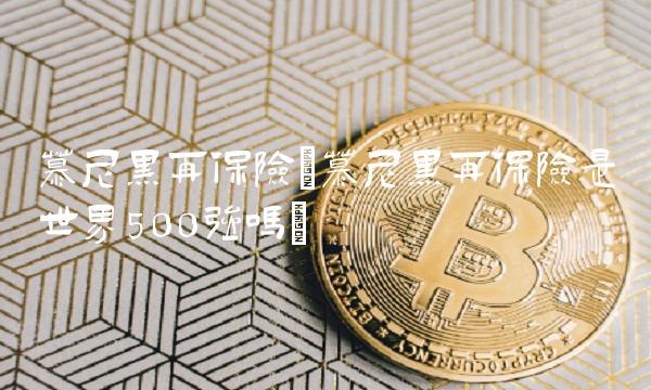 慕尼黑再保险(慕尼黑再保险是世界500强吗)