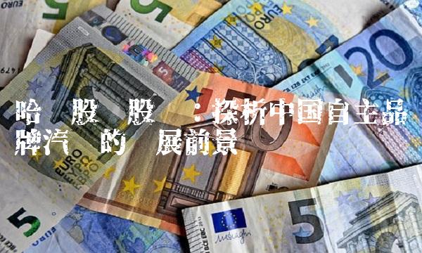 哈飞股份股吧：探析中国自主品牌汽车的发展前景
