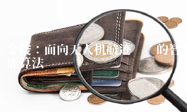 金俊：面向无人机航迹规划的智能算法