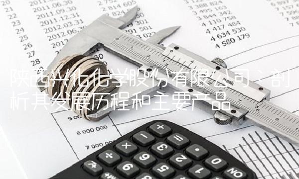 陕西兴化化学股份有限公司：剖析其发展历程和主要产品
