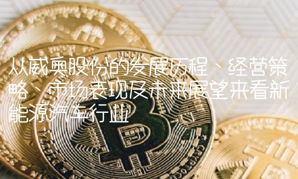 从威奥股份的发展历程、经营策略、市场表现及未来展望来看新能源汽车行业