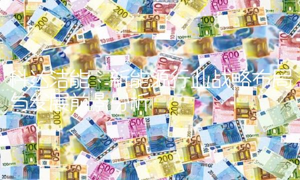 科达洁能：新能源行业战略布局与发展前景分析