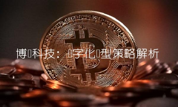 博闻科技：数字化转型策略解析