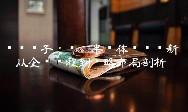 伟创电子：领跑半导体产业创新 —— 从企业历程到战略布局剖析
