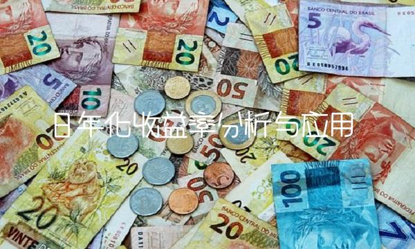日年化收益率分析与应用