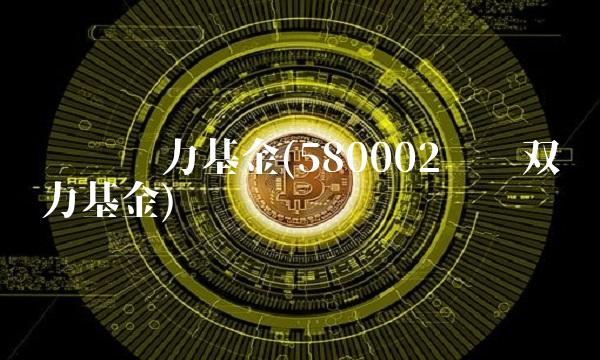 东吴动力基金(580002东吴双动力基金)(1)