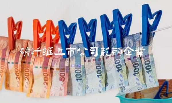 碳纤维上市公司龙头企业