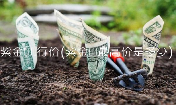紫金矿业发行价(紫金矿业最高价是多少)