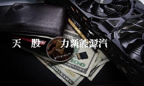 天顺股份发力新能源汽车产业