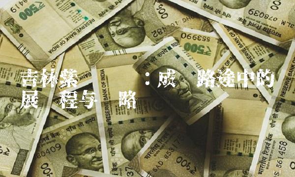 吉林紫鑫药业：成长路途中的发展历程与战略规划
