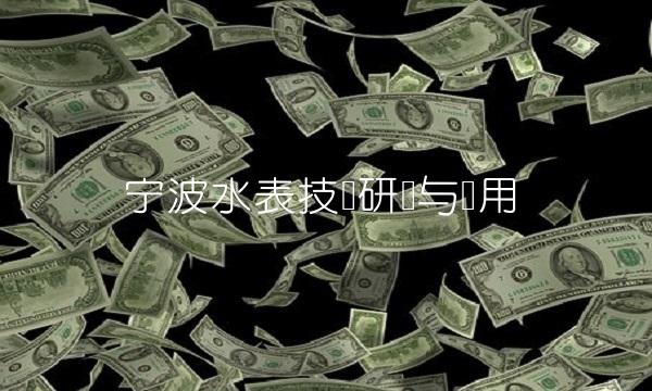 宁波水表技术研发与应用