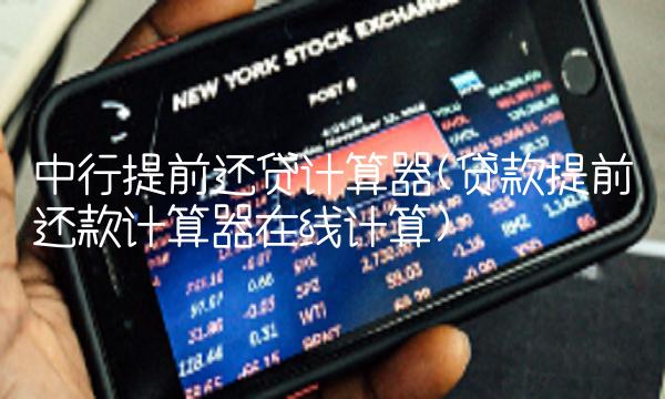 中行提前还贷计算器(贷款提前还款计算器在线计算)