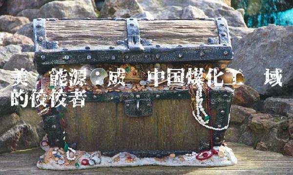 美锦能源：成为中国煤化工领域的佼佼者
