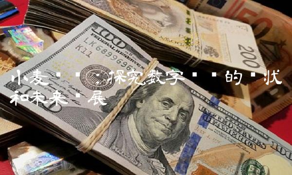 小麦财经：探究数字货币的现状和未来发展