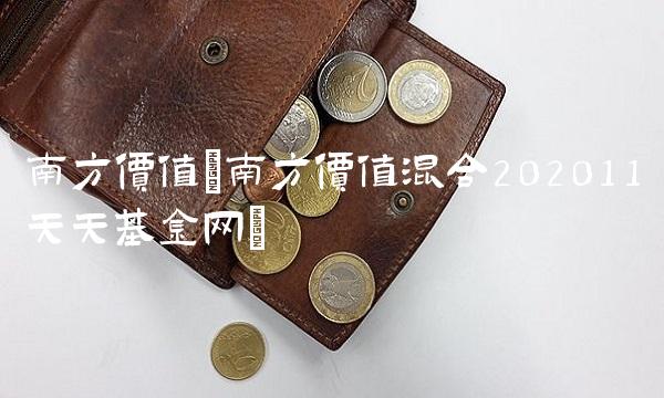 南方价值(南方价值混合202011天天基金网)