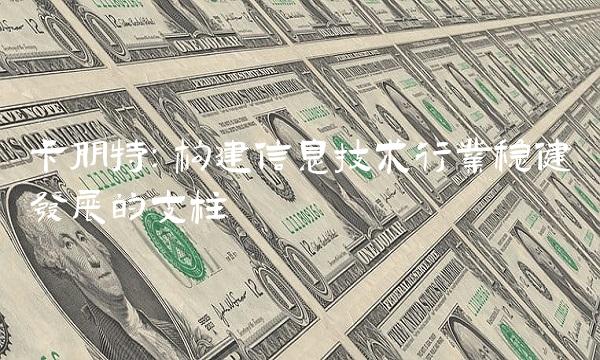卡朋特：构建信息技术行业稳健发展的支柱