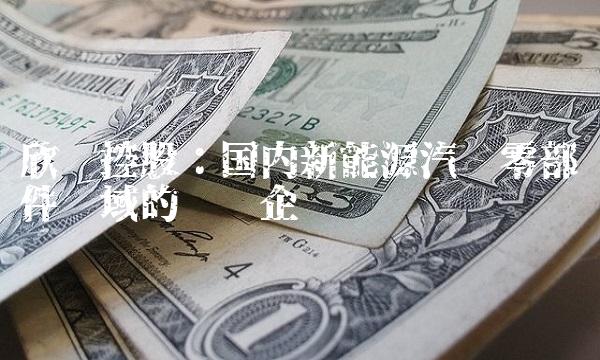 欣龙控股：国内新能源汽车零部件领域的领军企业