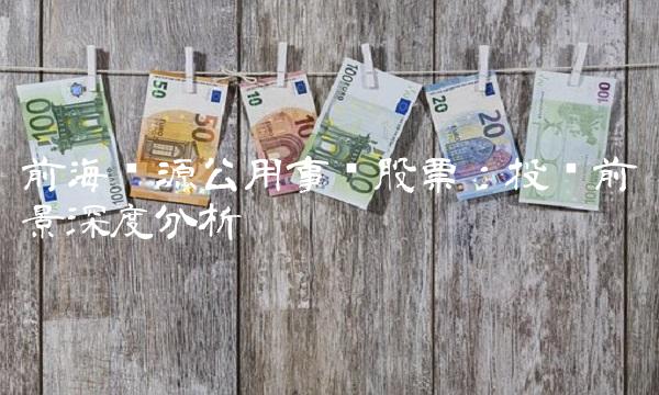 前海开源公用事业股票：投资前景深度分析