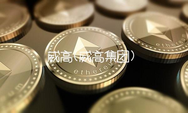 威高(威高集团)