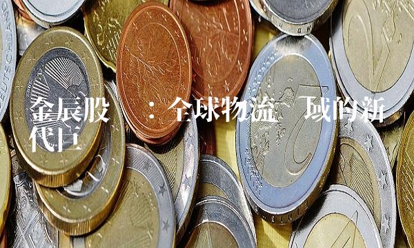 金辰股份：全球物流领域的新时代巨头