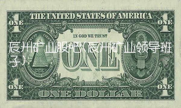 辰州矿业股吧(辰州矿业领导班子)