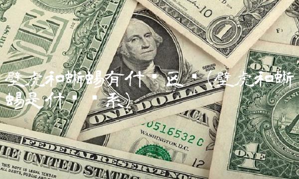 壁虎和蜥蜴有什么区别(壁虎和蜥蜴是什么关系)