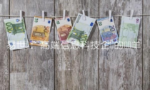 易世达：高端信息科技企业的领头羊