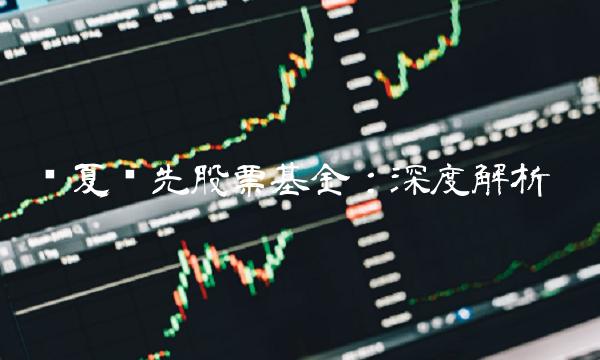 华夏领先股票基金：深度解析