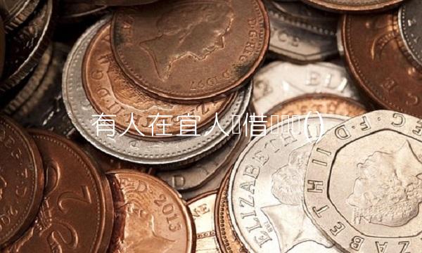 有人在宜人贷借过钱吗()