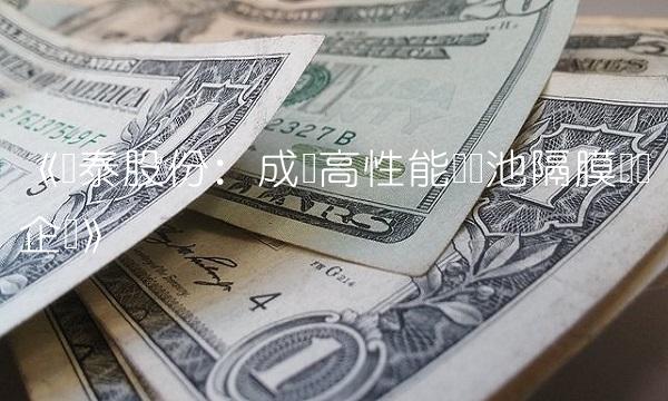 《嵘泰股份：成为高性能锂电池隔膜领军企业》