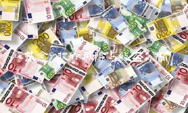 股基金：投资风险与收益分析