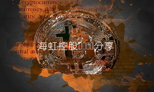 海虹控股从业经历分享