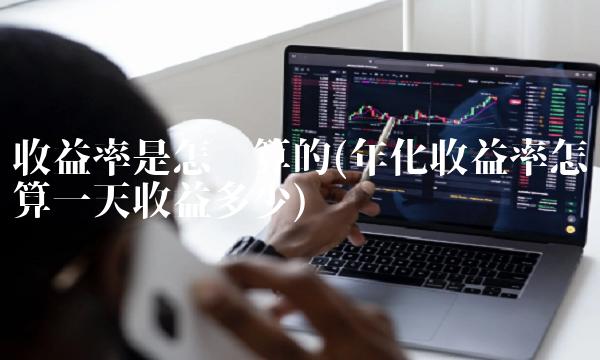 收益率是怎么算的(年化收益率怎么算一天收益多少)