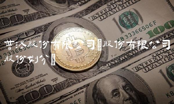普洛股份有限公司(股份有限公司股份划分)