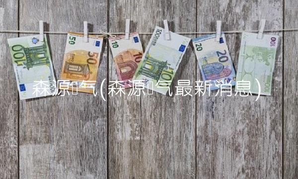 森源电气(森源电气最新消息)
