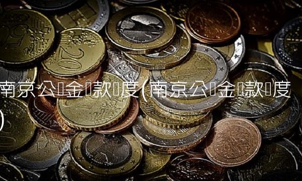 南京公积金贷款额度(南京公积金贷款额度)