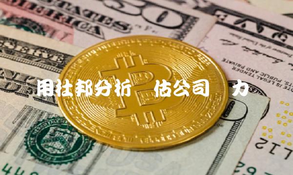 用杜邦分析评估公司实力