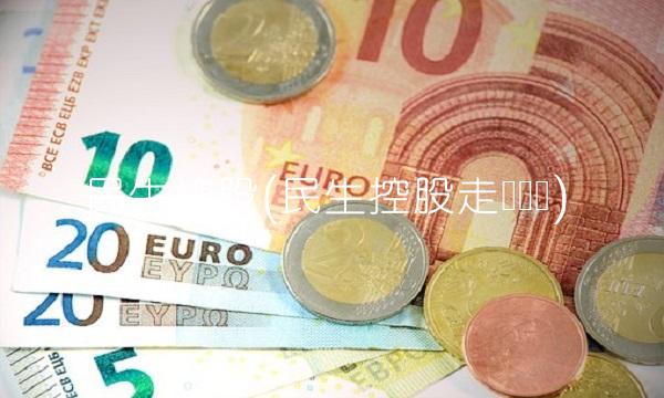 民生控股(民生控股走势预测)