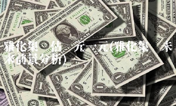 雅化集团估值元一元(雅化集团未来前景分析)