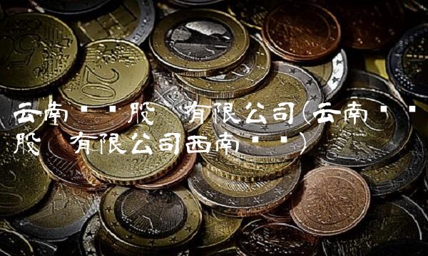 云南铜业股份有限公司(云南铜业股份有限公司西南铜业)