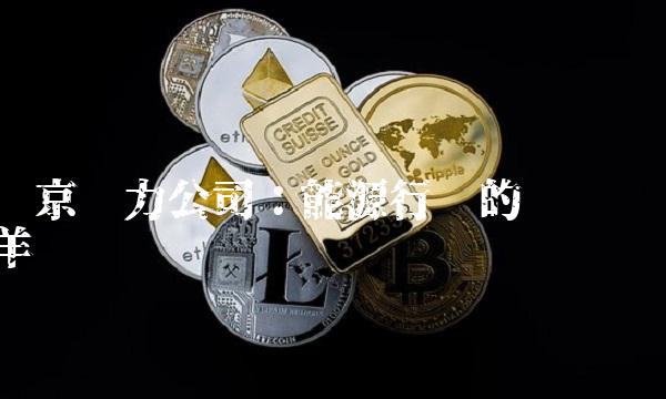东京电力公司：能源行业的领头羊
