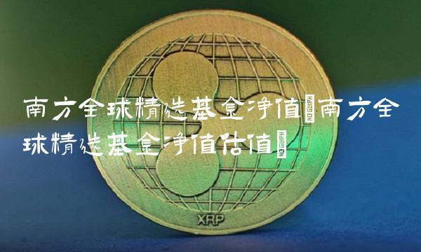 南方全球精选基金净值(南方全球精选基金净值估值)