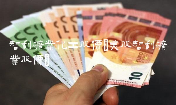 智利矿业化工股价(美股智利矿业股价)(1)