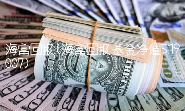 海富回报(海富回报基金净值519007)