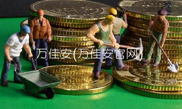 万佳安(万佳安官网)